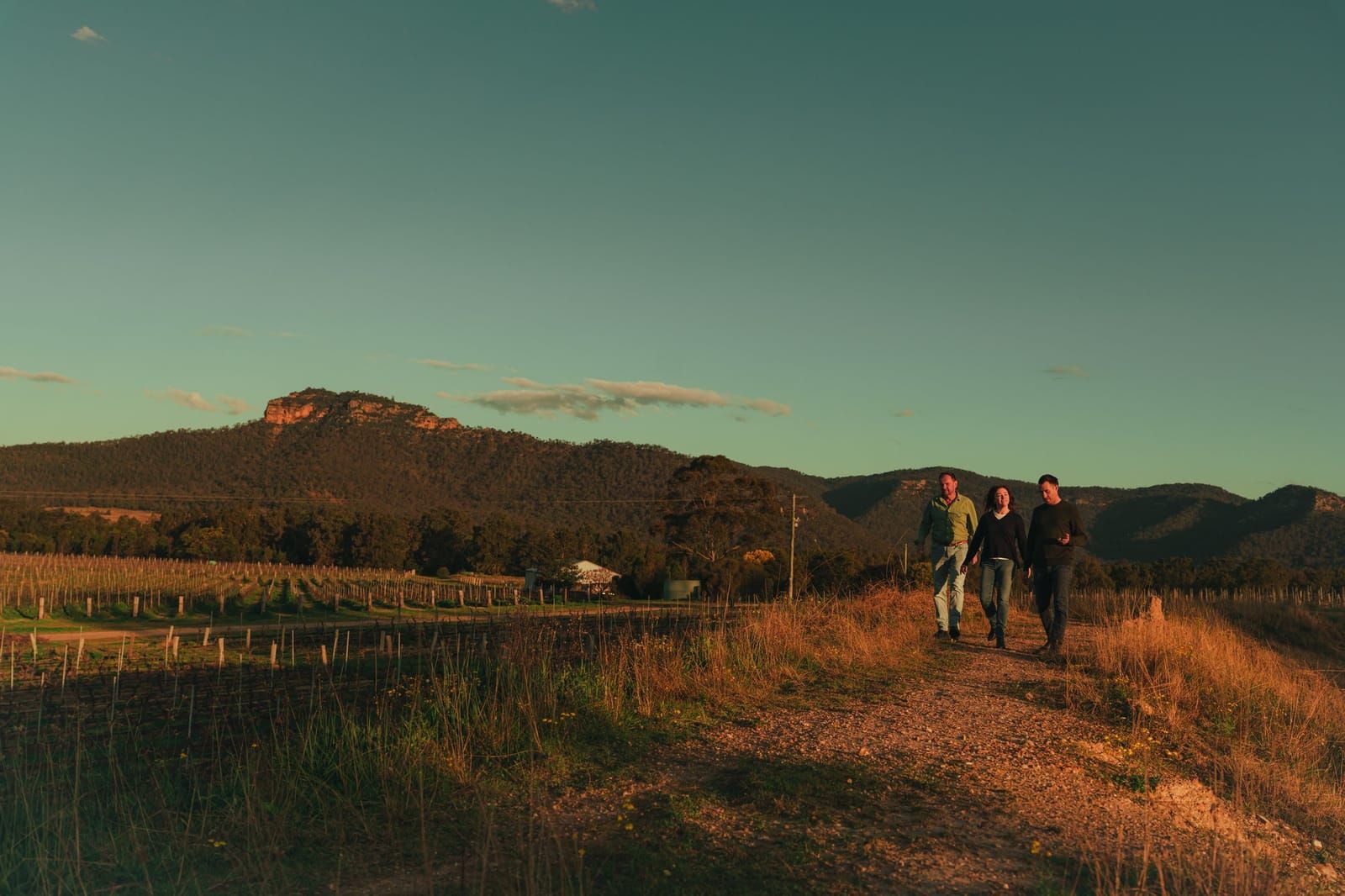 Three people walking a vineyard track at Margan in Broke, under the Brokenback Range at dusk