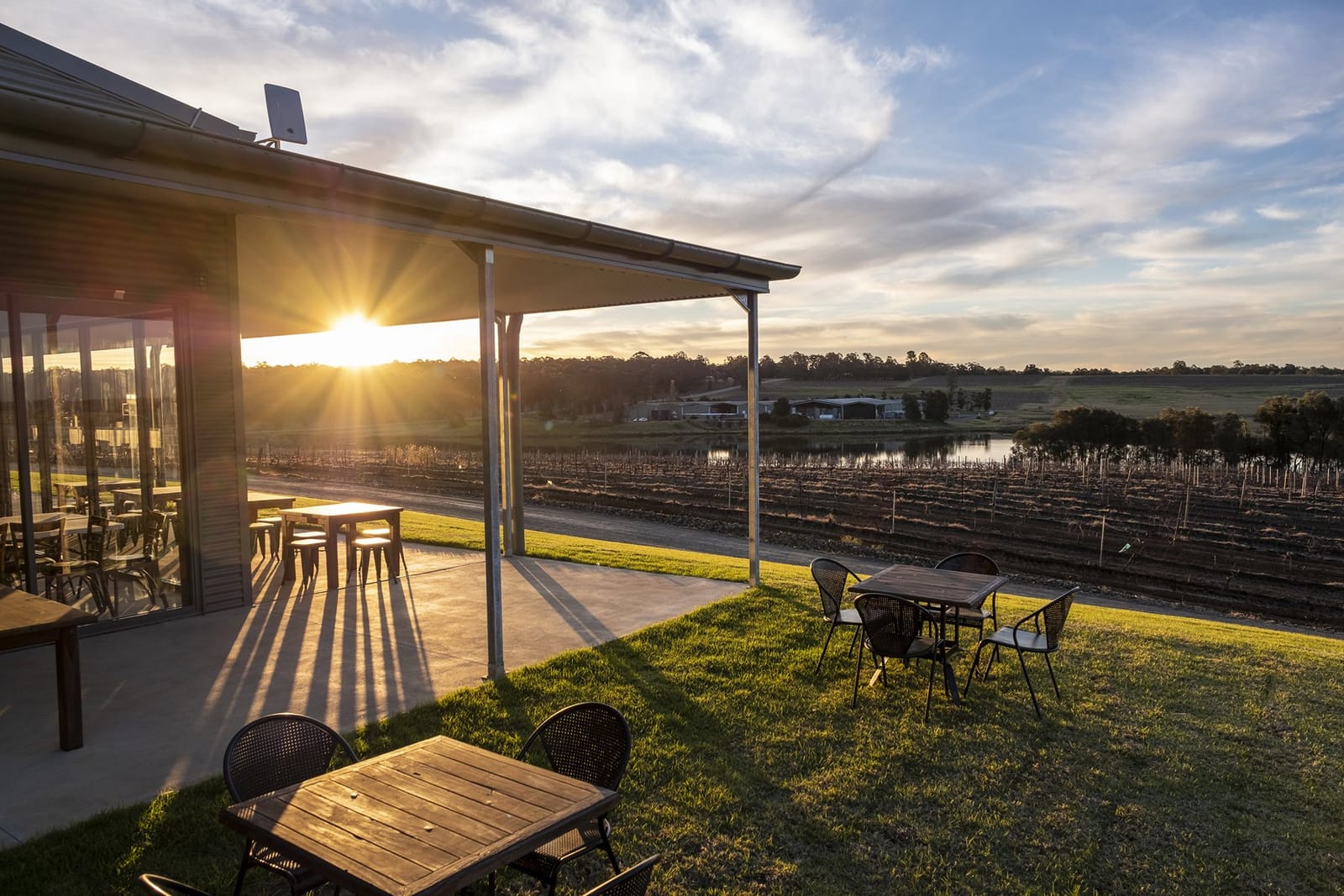 The tap room terrace at sunset looking across the vineyards
