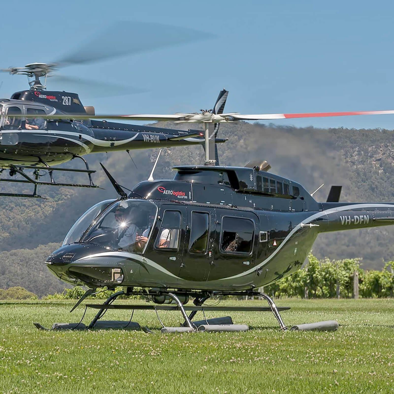 Aero Logistics Helicopters other