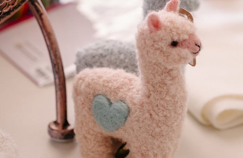 Australian Alpaca Barn other