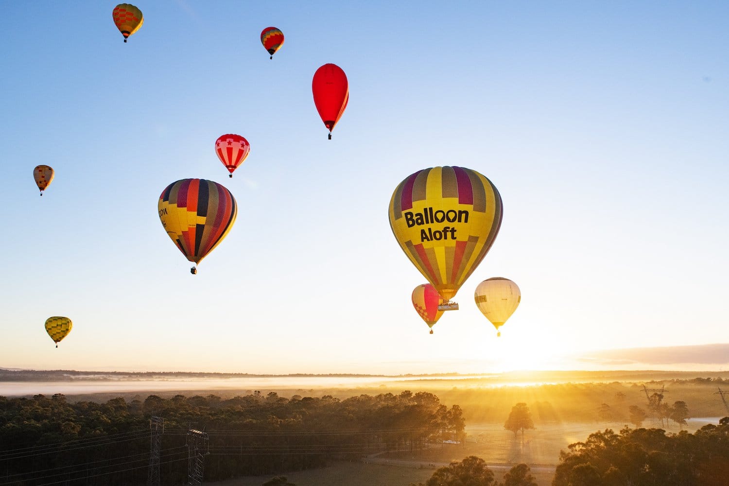 Hot air balloons ascending at sunrise over forested landscape