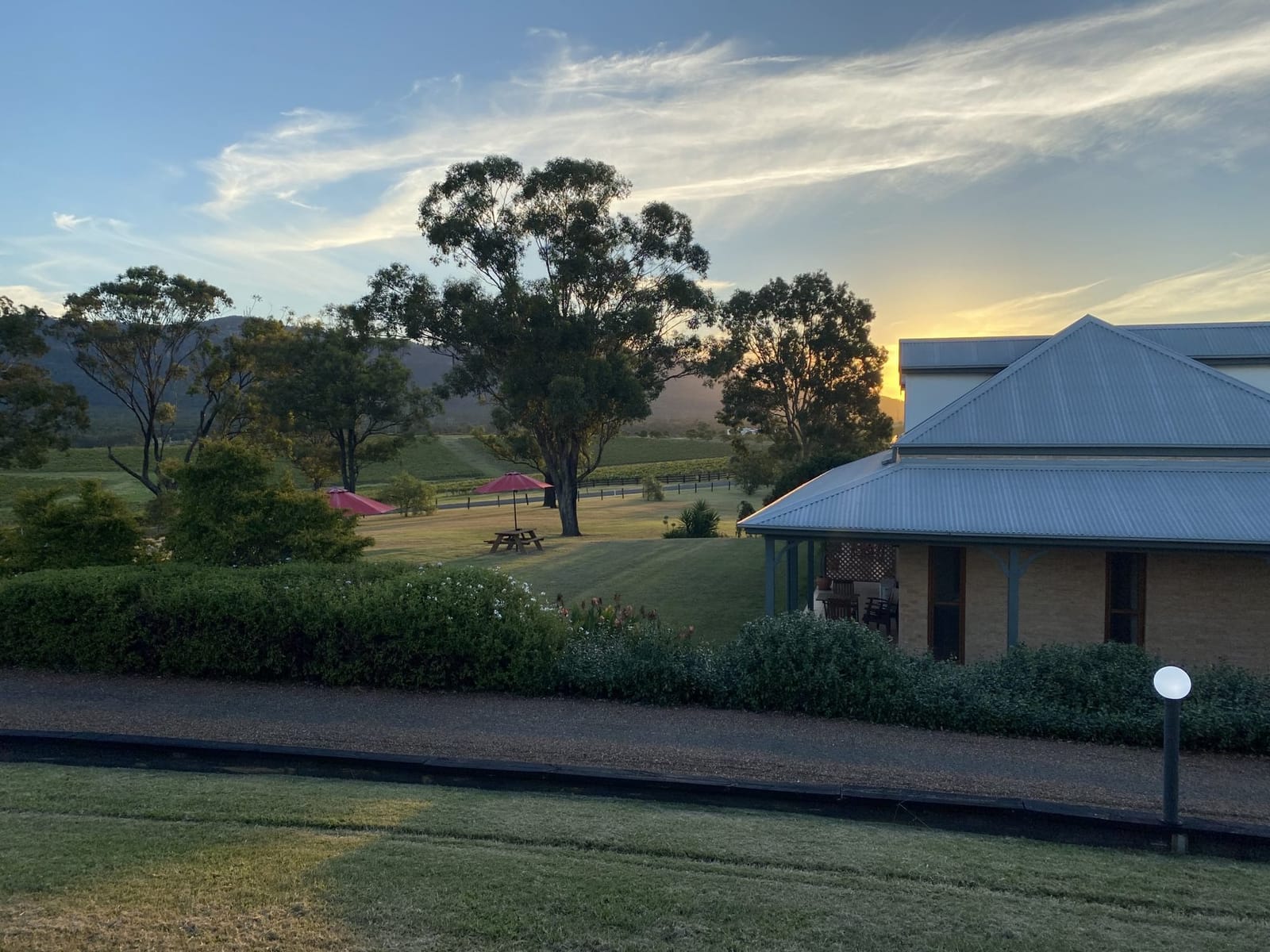 View of the grounds and vineyards from Berenbell at dusk