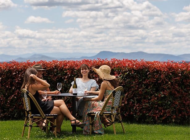 Three women tasting wine outdoors against vineyard hedge backdrop