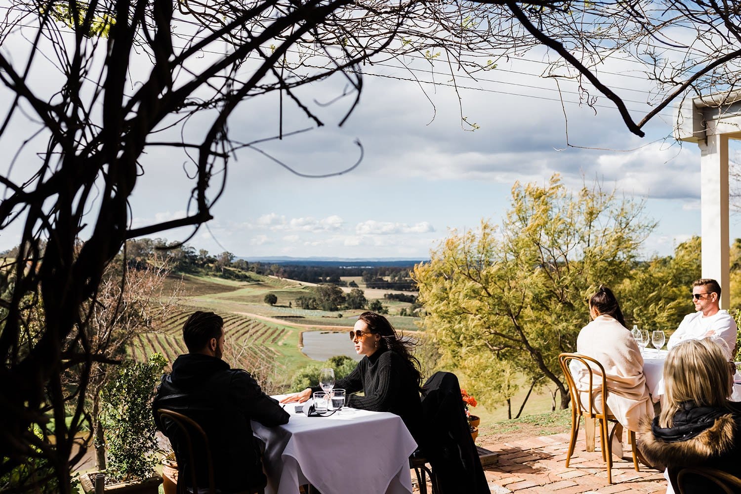 Outdoor dining with guests overlooking vineyard under grapevine