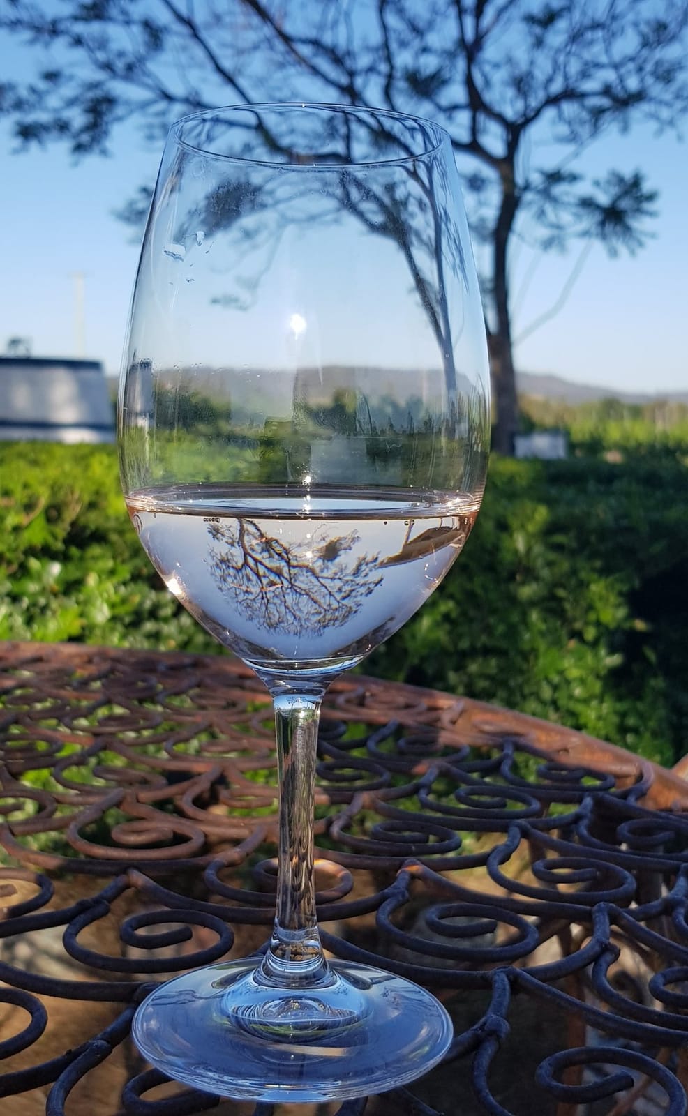 Wine glass reflecting vineyard landscape with distant estate buildings at Blueberry Hill, Pokolbin, Hunter Valley
