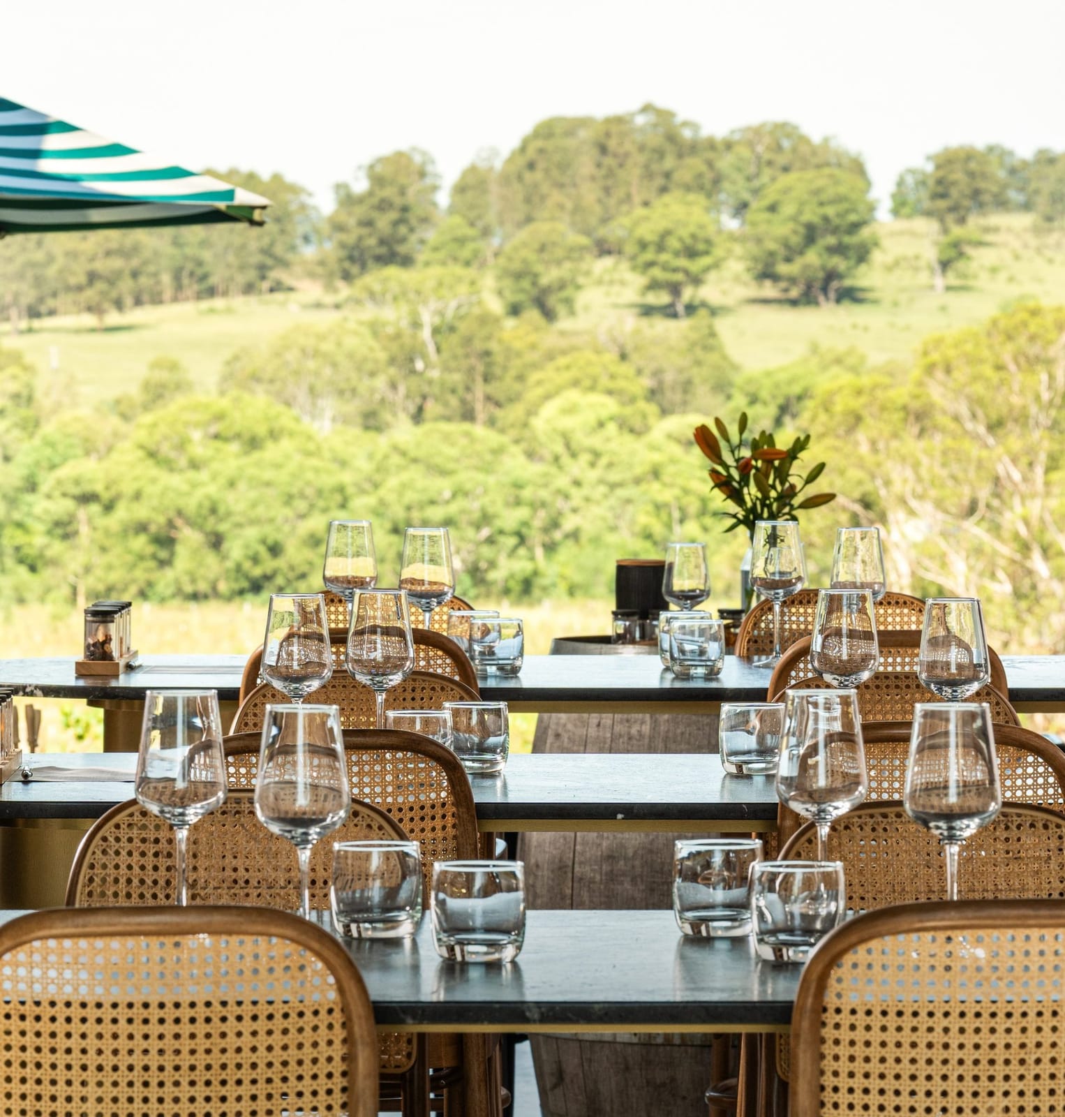 Outdoor wine tasting with vineyard views and rattan seating
