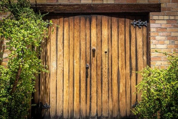 Wooden cellar door entrance surrounded by ivy growth