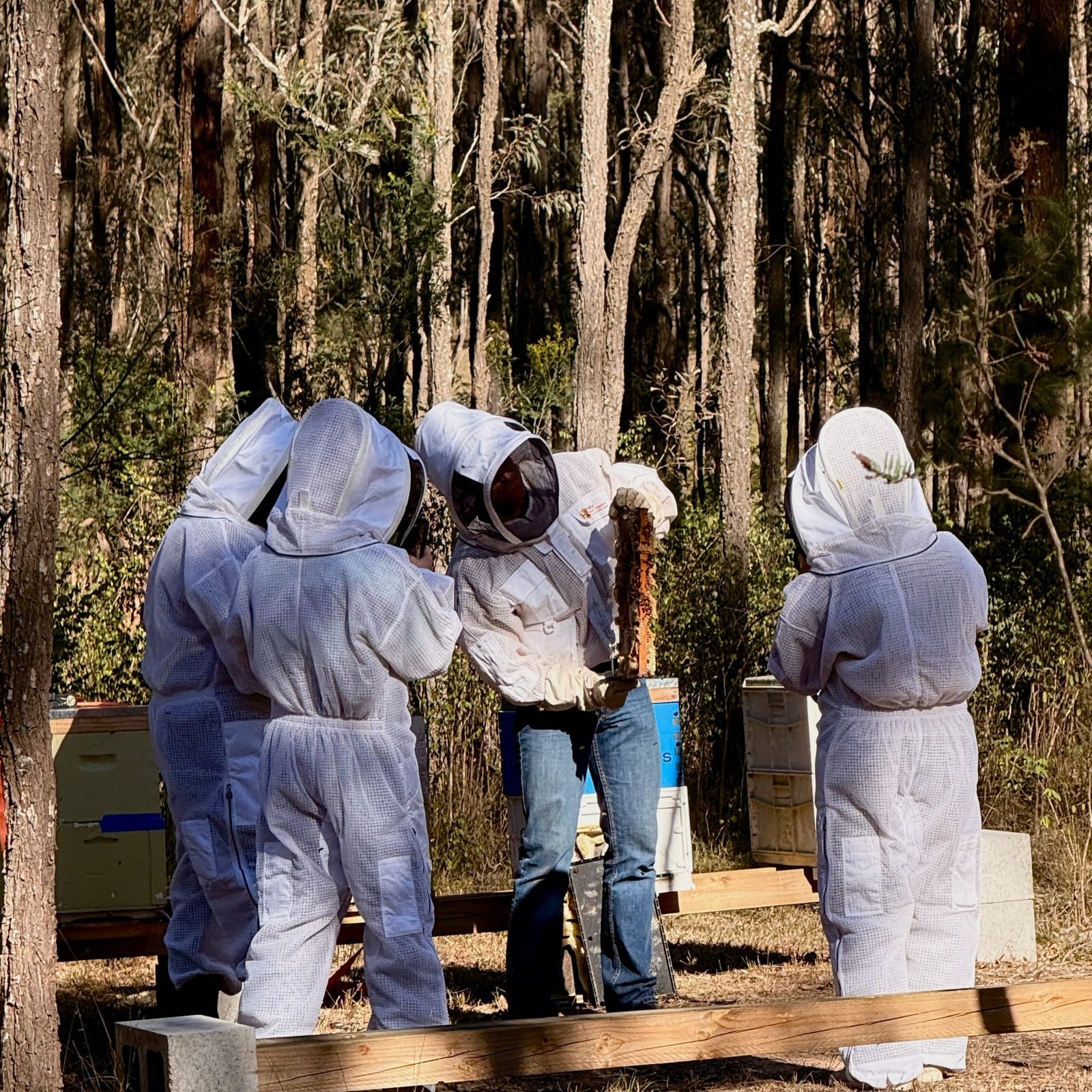 Guests in beekeeping suits gathered around an open hive frame during the Unveil the Hive beekeeping experience