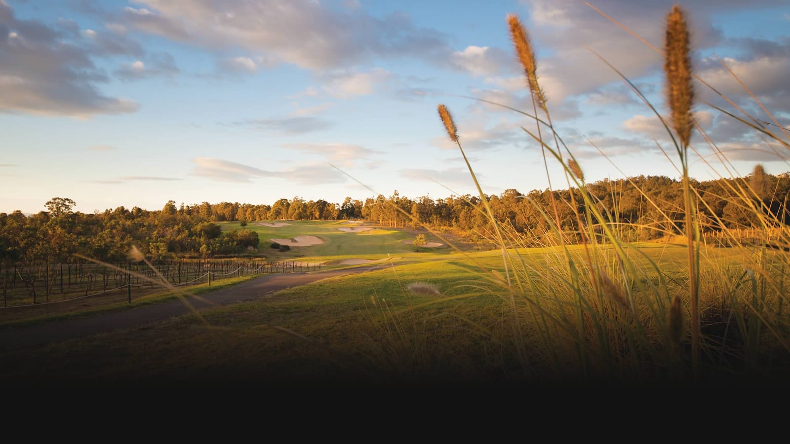 Golf course with vineyard rows and water features beyond trees at Cypress Lakes Resort, Pokolbin, Hunter Valley