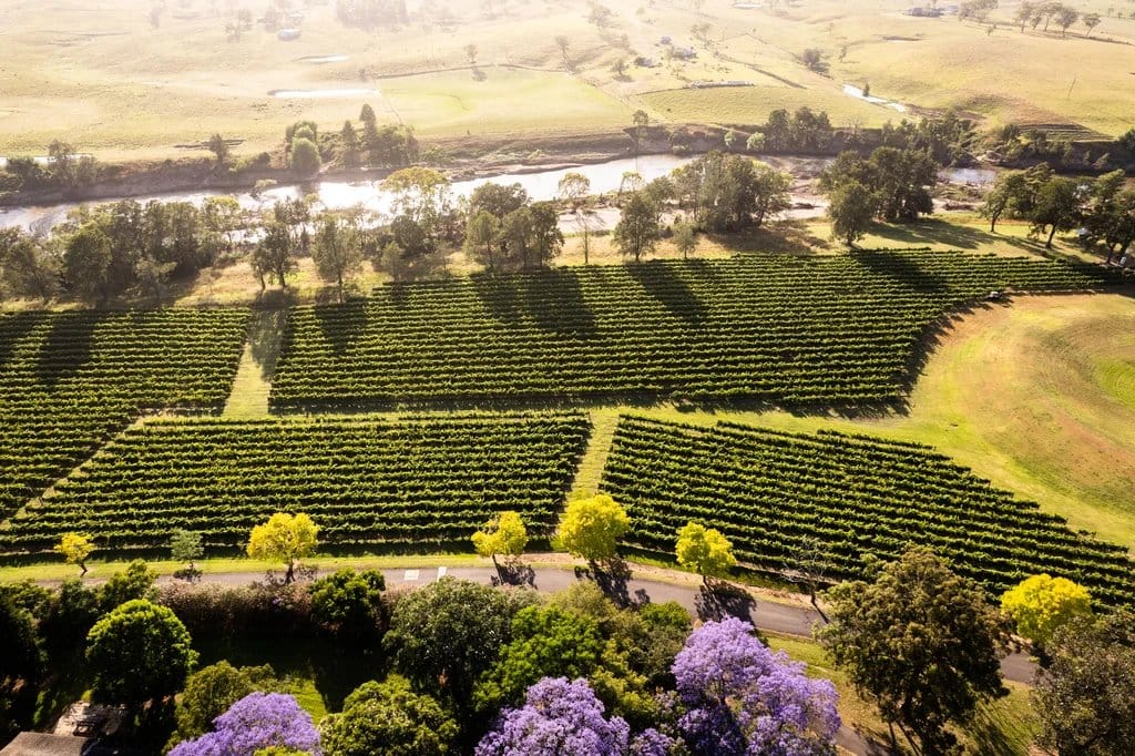 Aerial estate view with purple flowering trees and vineyard landscape, Dalwood, Hunter Valley
