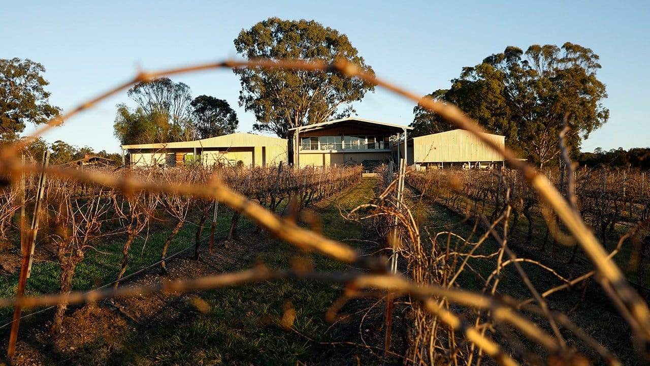 Winery building set within vineyard rows with fencing and clear sky