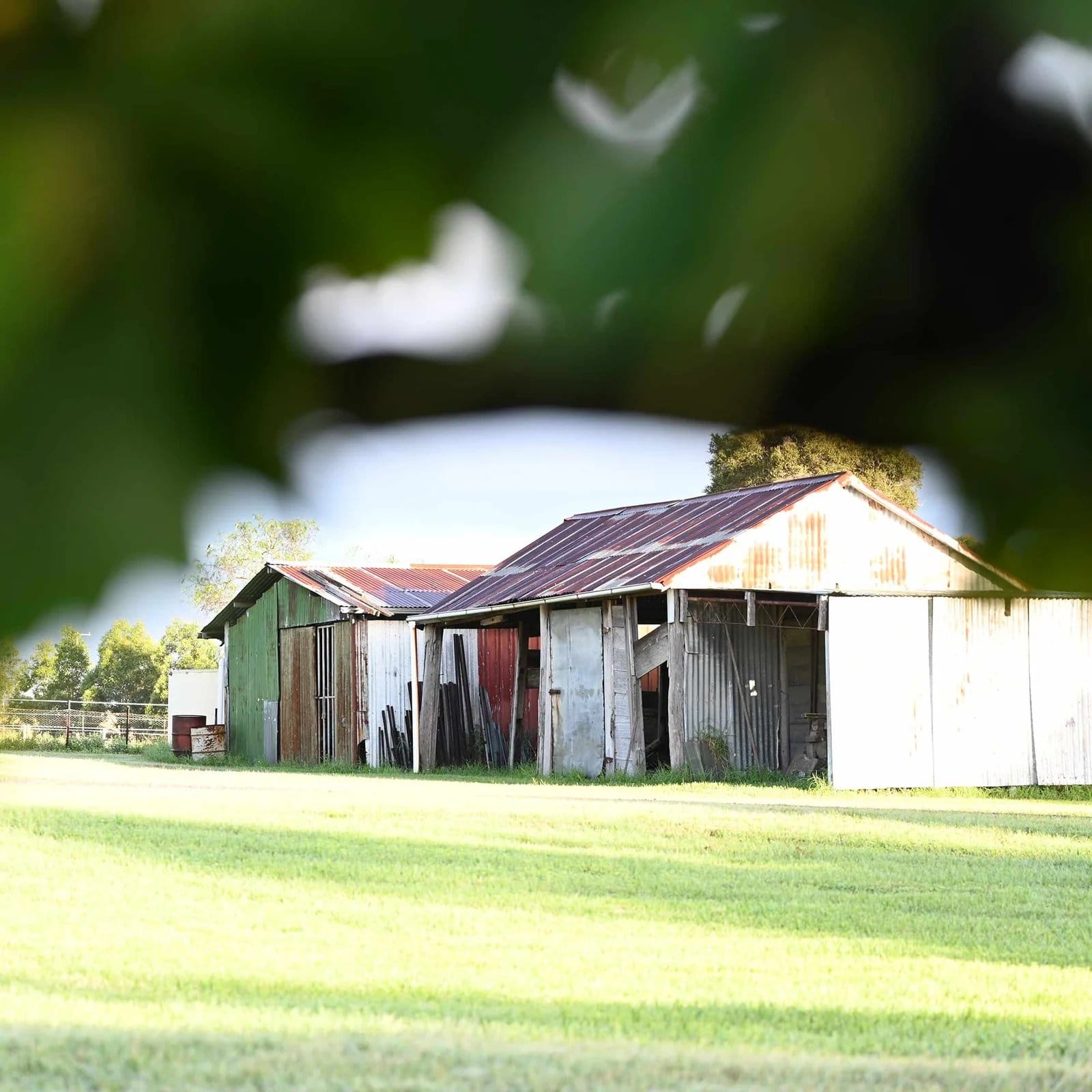 Weathered farm building with corrugated iron and surrounding fields