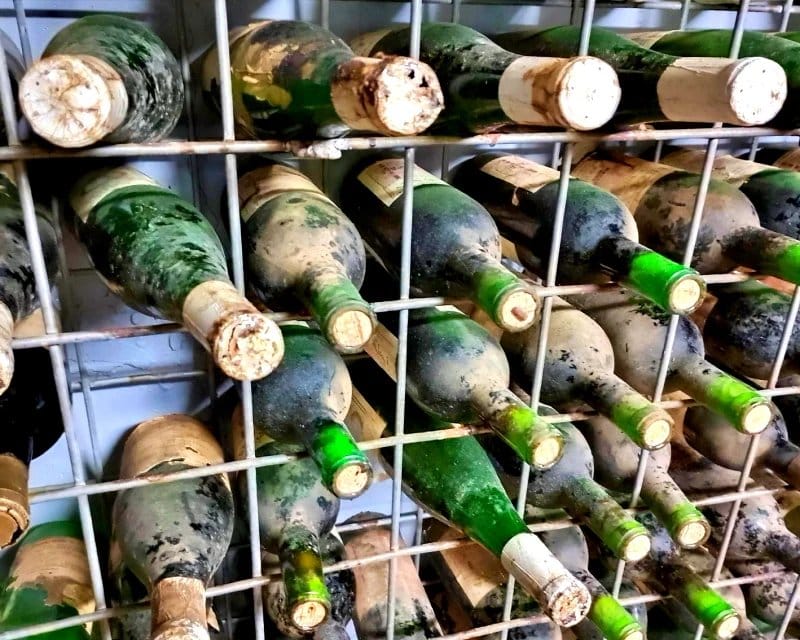 Dusty museum release bottles binned in the underground vault