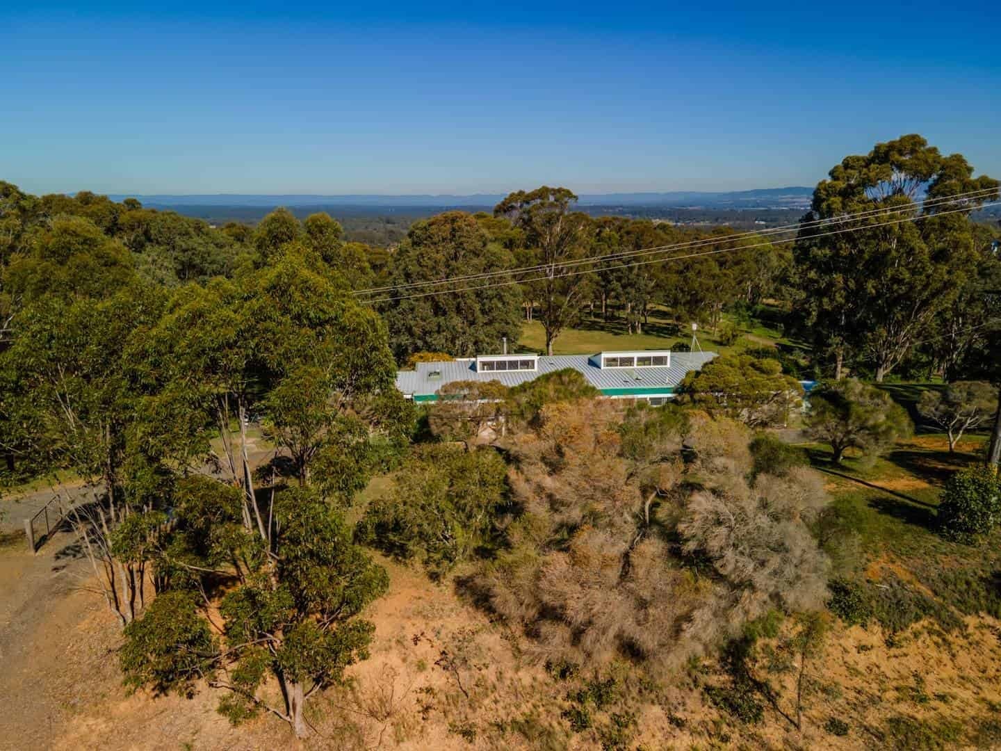 Turquoise swimming pool surrounded by garden landscaping and eucalyptus