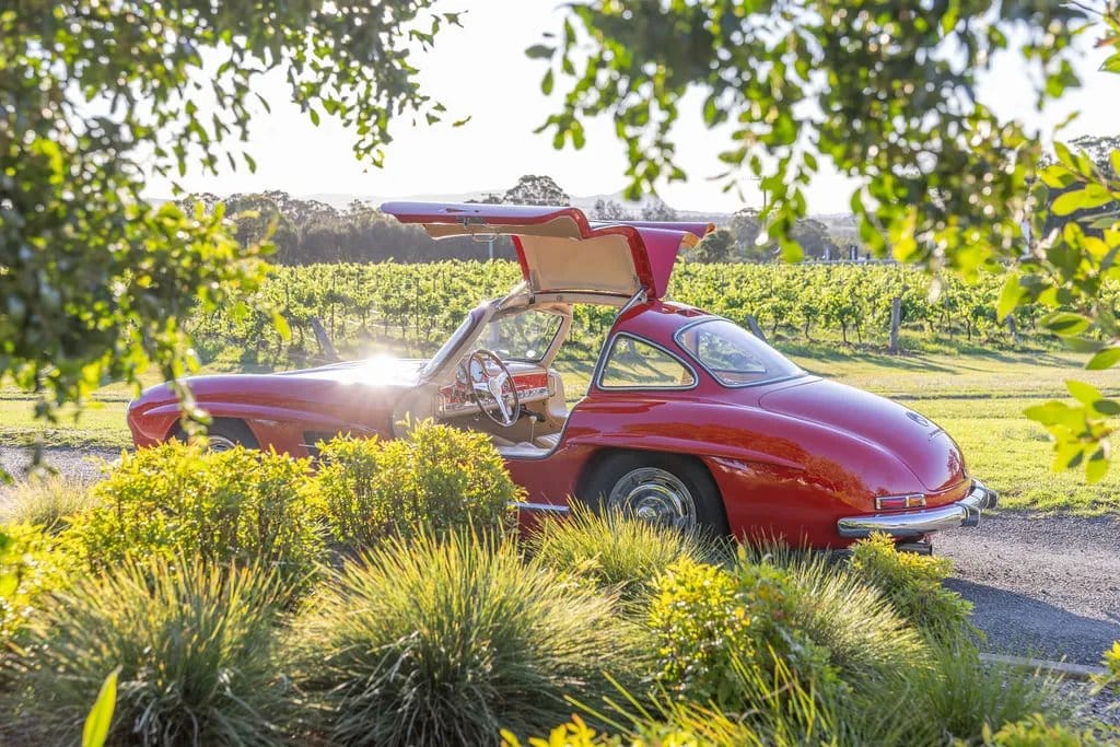 A vintage car parked among the vines at the Adina estate