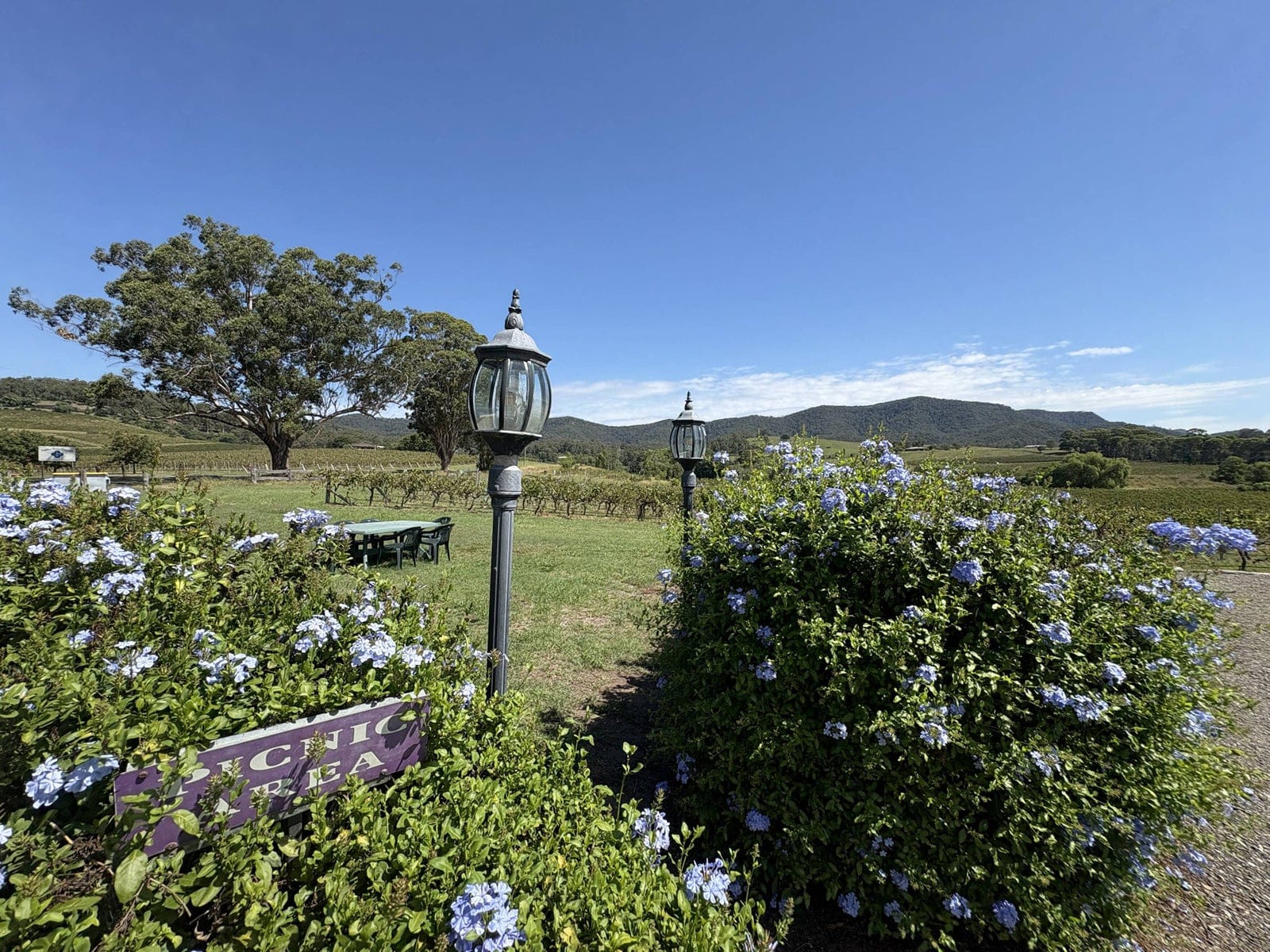 The grounds at Fat Cow Hunter Valley