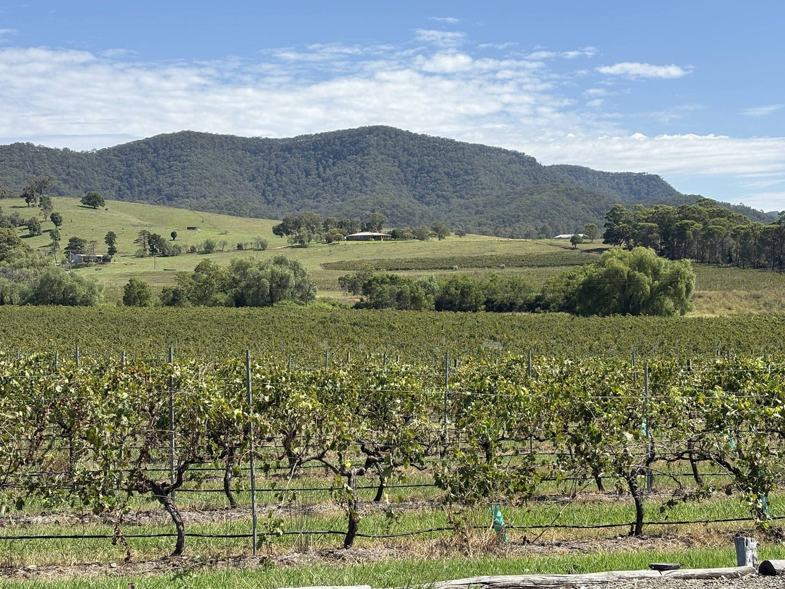 Estate and vineyard views from the venue