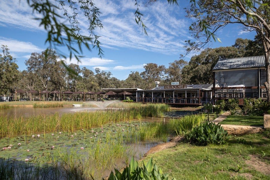 Cafe building beside pond with umbrellas and native plantings