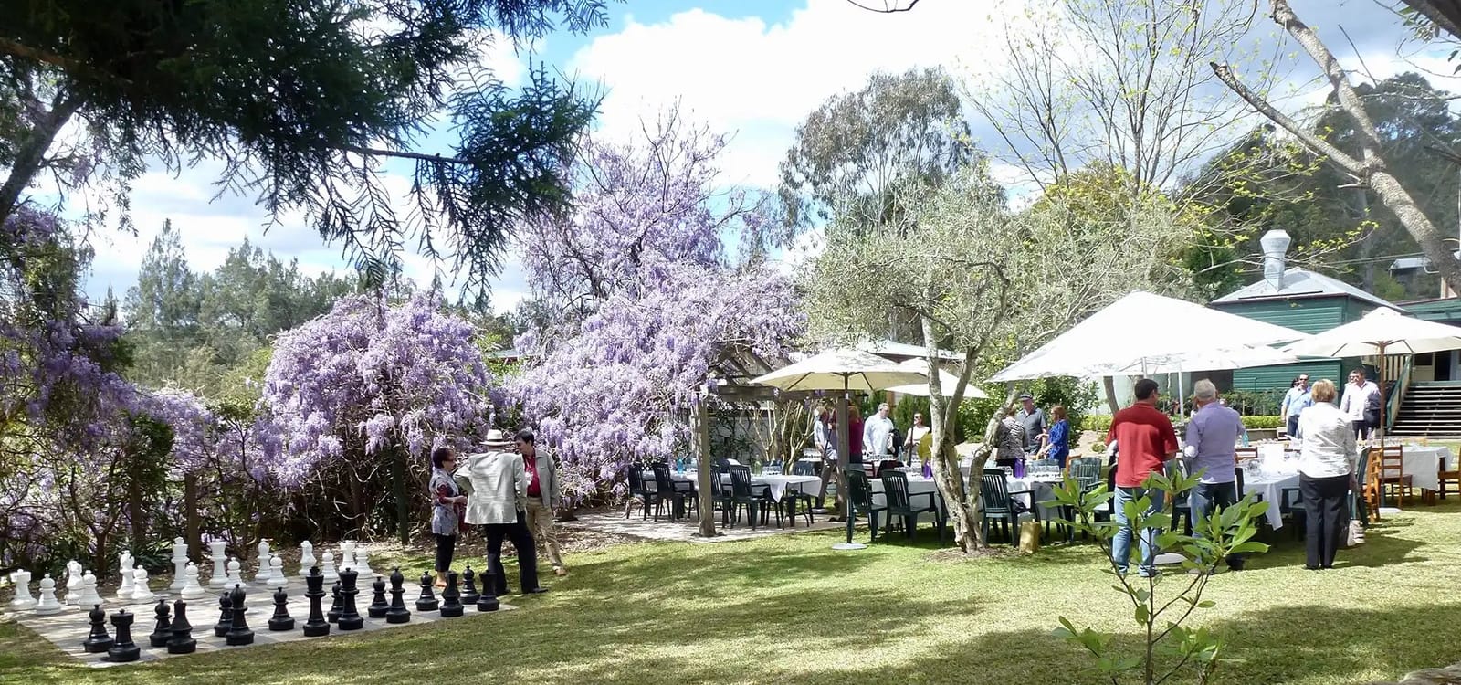 Estate gardens with purple flowering wisteria, outdoor seating and entertainment space