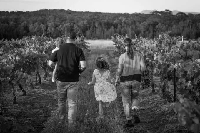 Visitors walking through vineyard rows with forested landscape in the background