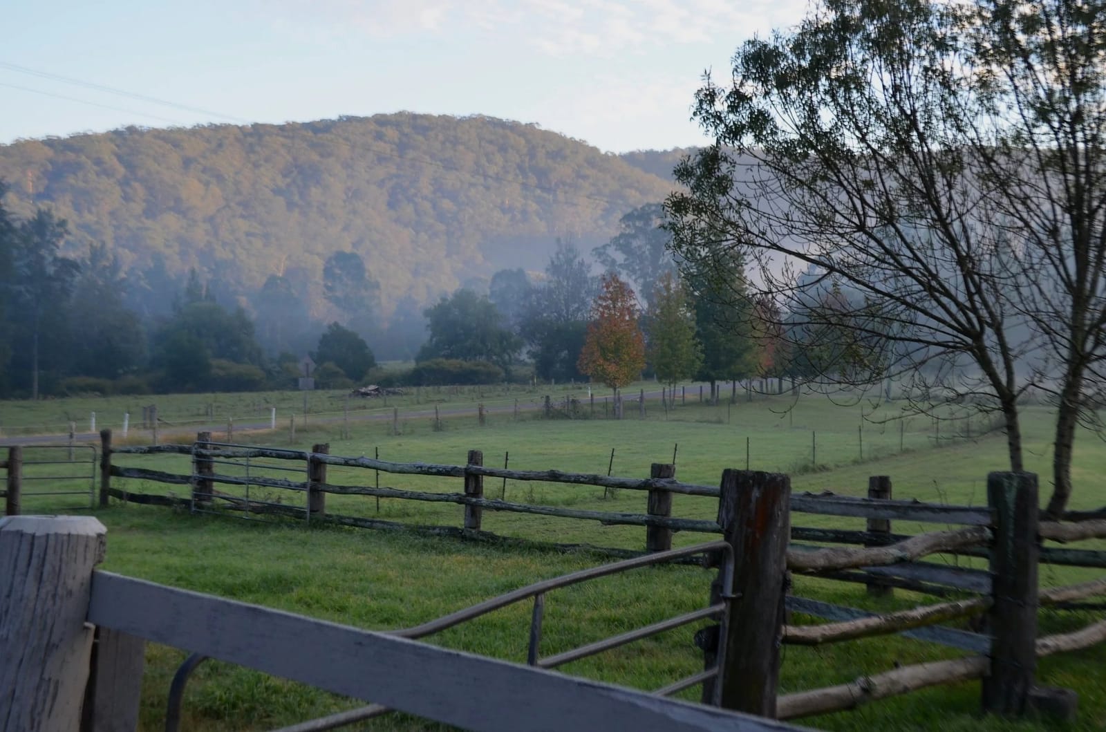 Misty paddocks and hills seen from the property at dawn