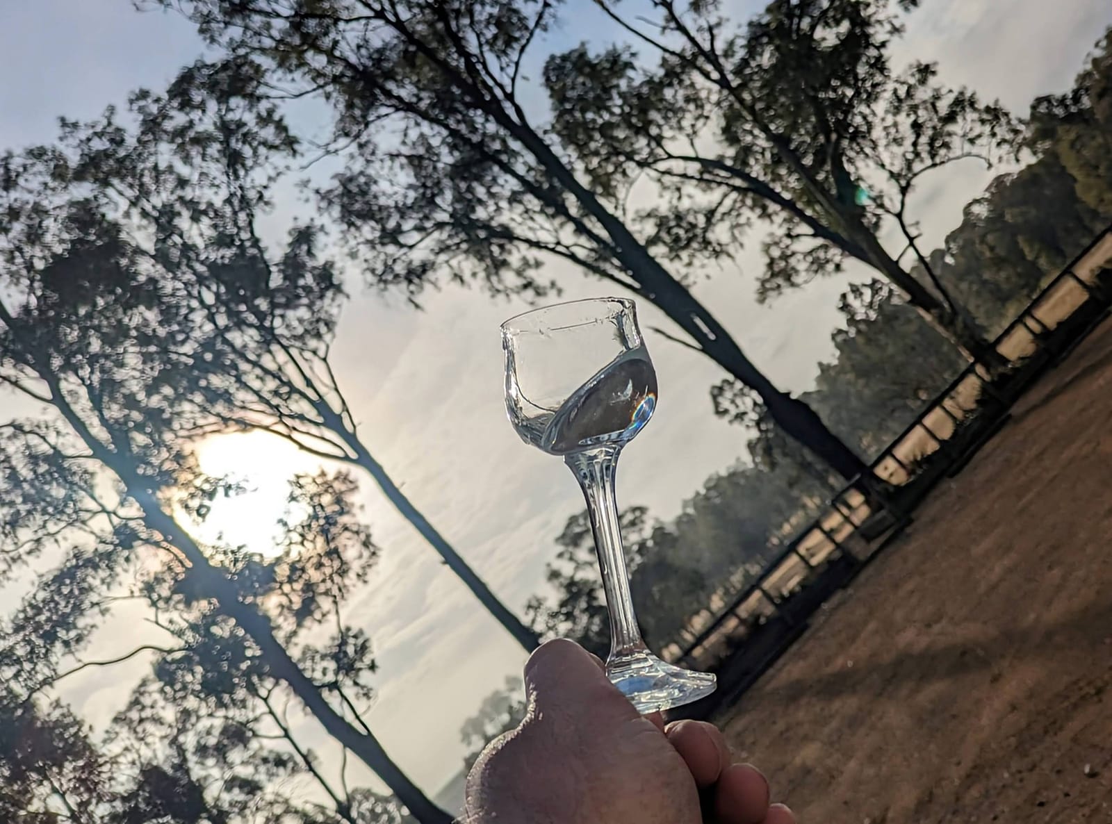 Wine glass under dappled tree canopy at Hunter Distillery, Pokolbin, Hunter Valley