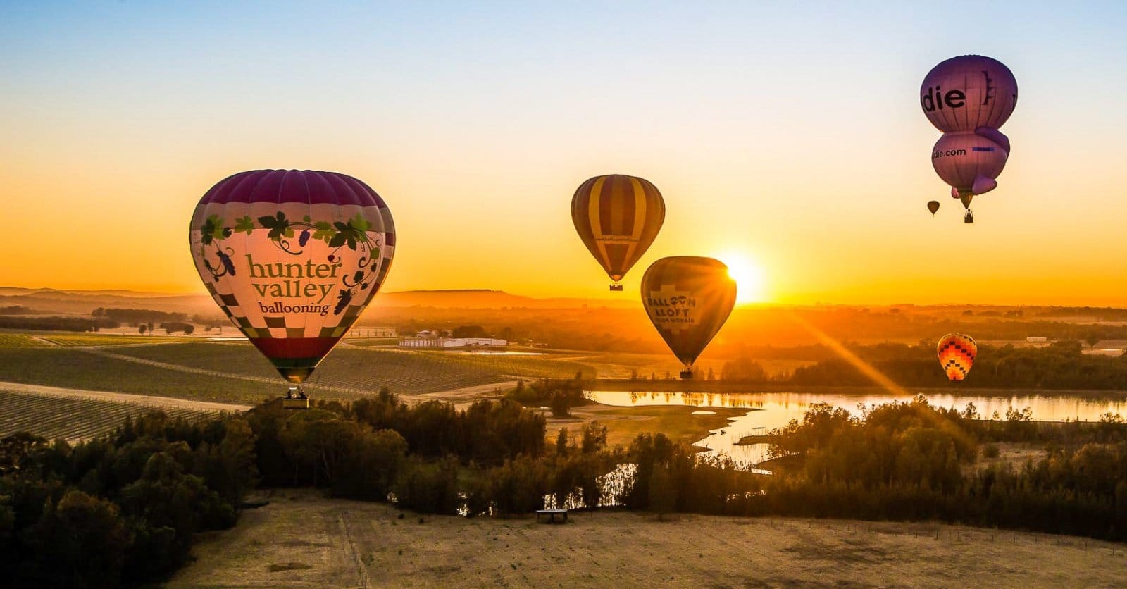 Hot air balloons over vineyards at sunrise at Hunter Valley Ballooning, Pokolbin, Hunter Valley
