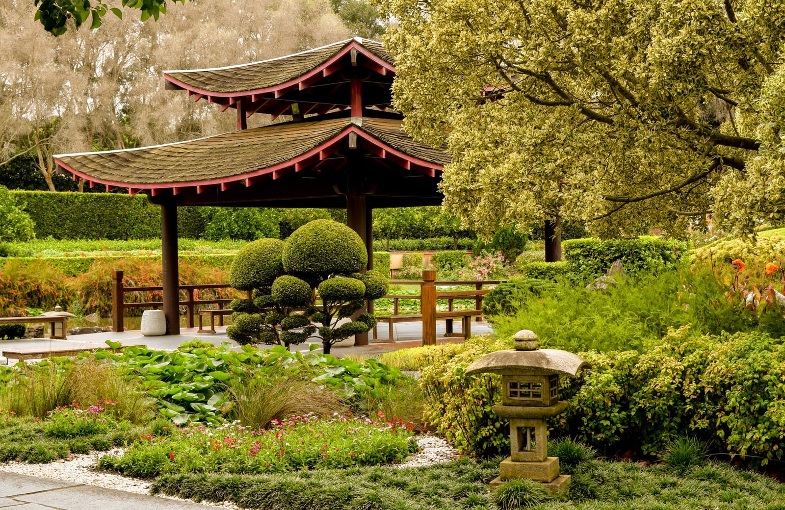 Oriental Garden in flower at Hunter Valley Gardens, Pokolbin, Hunter Valley