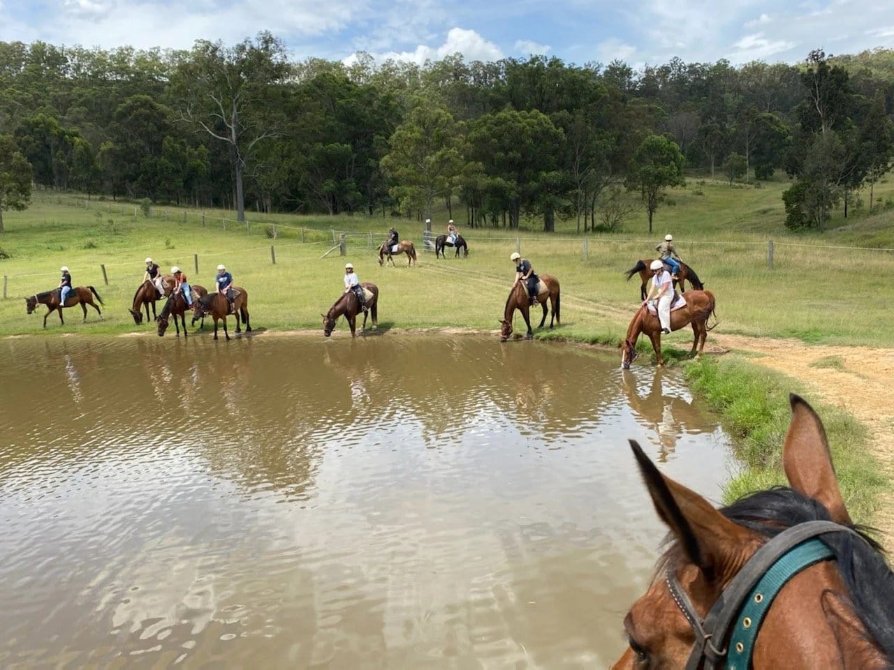 Trail ride group at a farm dam at Hunter Valley Horse Riding & Adventures, Rothbury, Hunter Valley