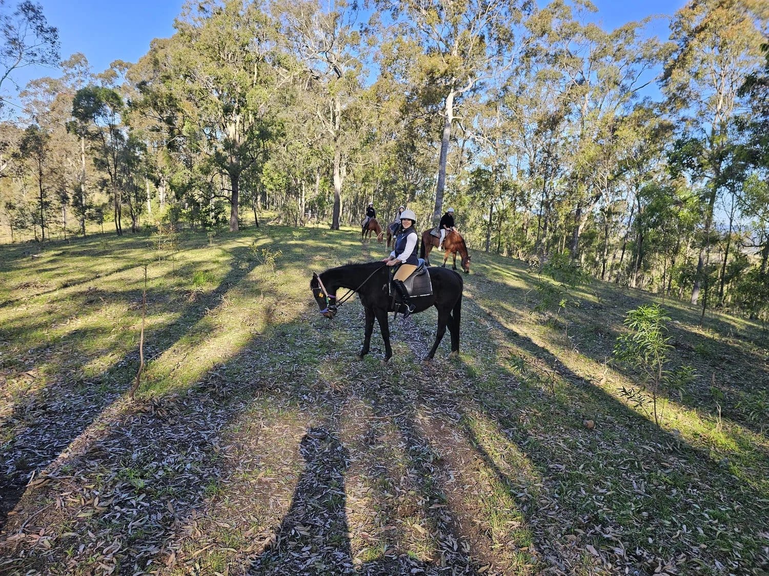 Three riders stopped on an open ridge among the gums in the late afternoon