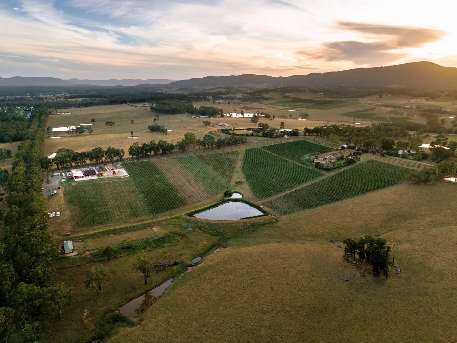 Aerial view of estate vineyard, buildings and surrounding landscape at golden hour