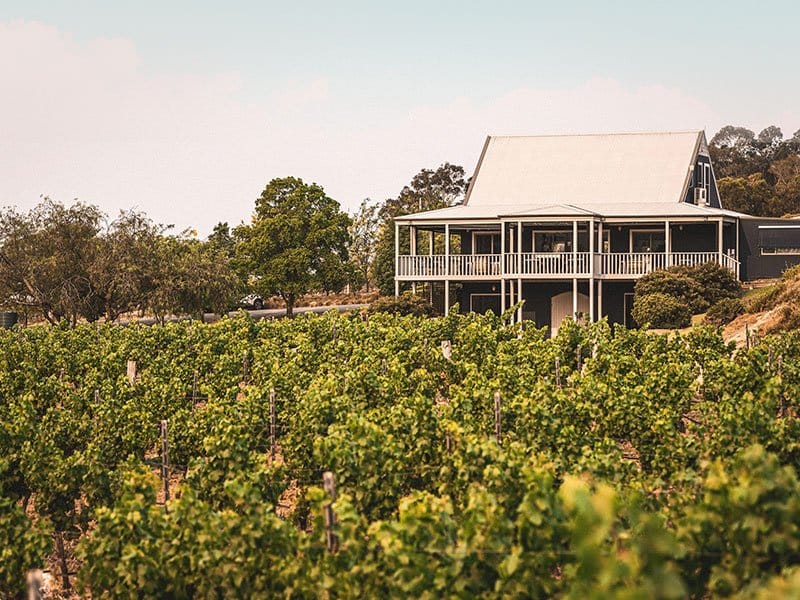 Colonial-style building with verandah and grapevine rows at Ivanhoe, Pokolbin, Hunter Valley