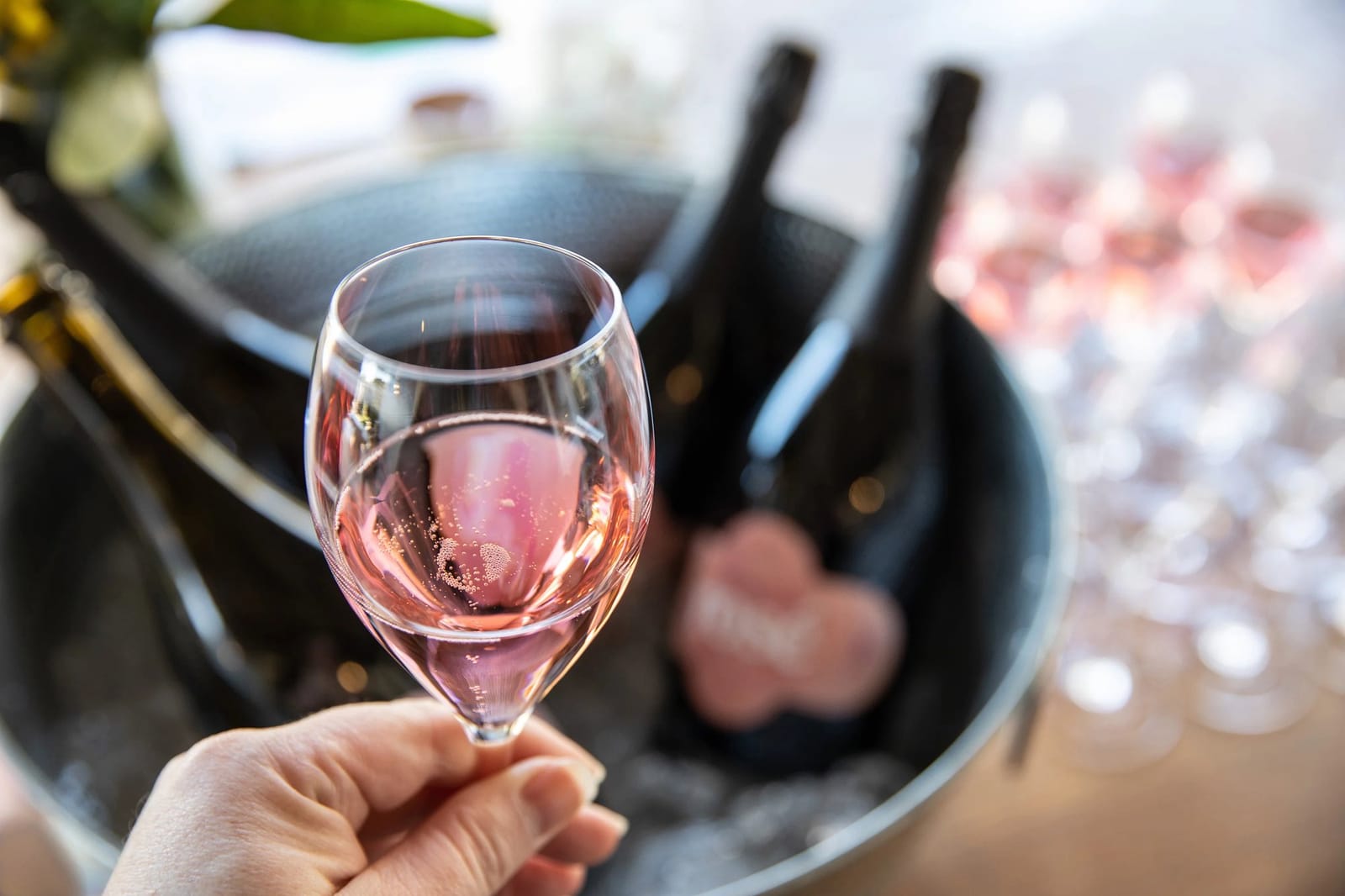 Hand holding a glass of rose wine during a tasting