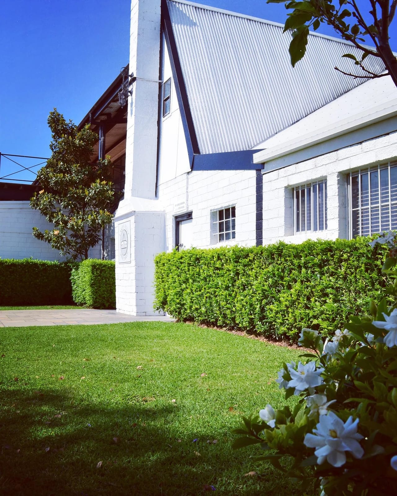 Contemporary white winery building with hedged landscaping at Lake's Folly, Pokolbin, Hunter Valley