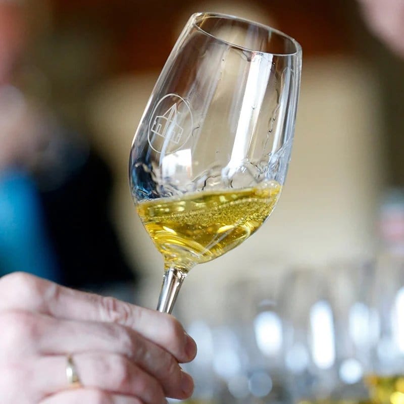 Wine glass held during outdoor tasting, hand visible with blurred setting