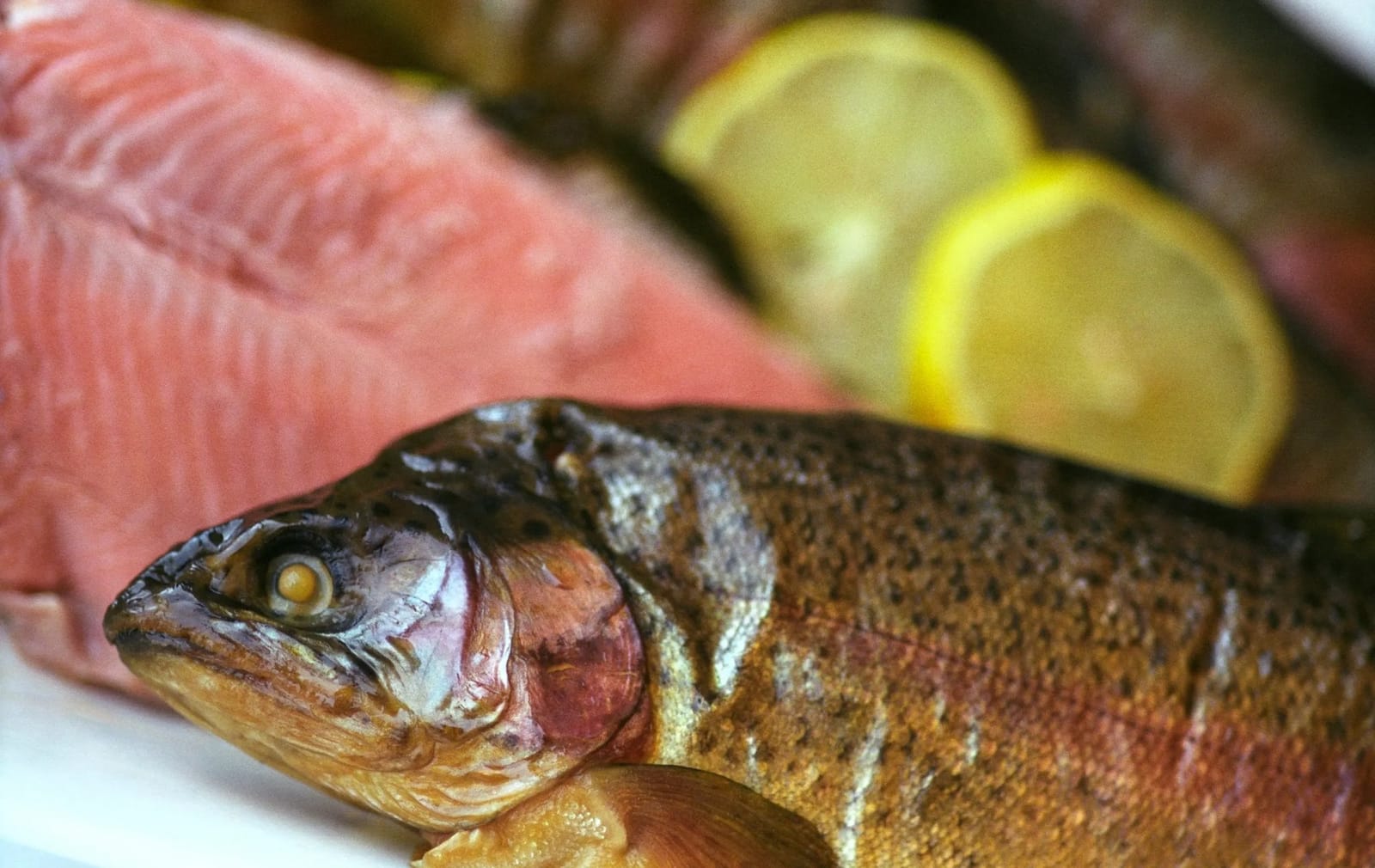 A whole smoked trout and a side of hot-smoked salmon with lemon