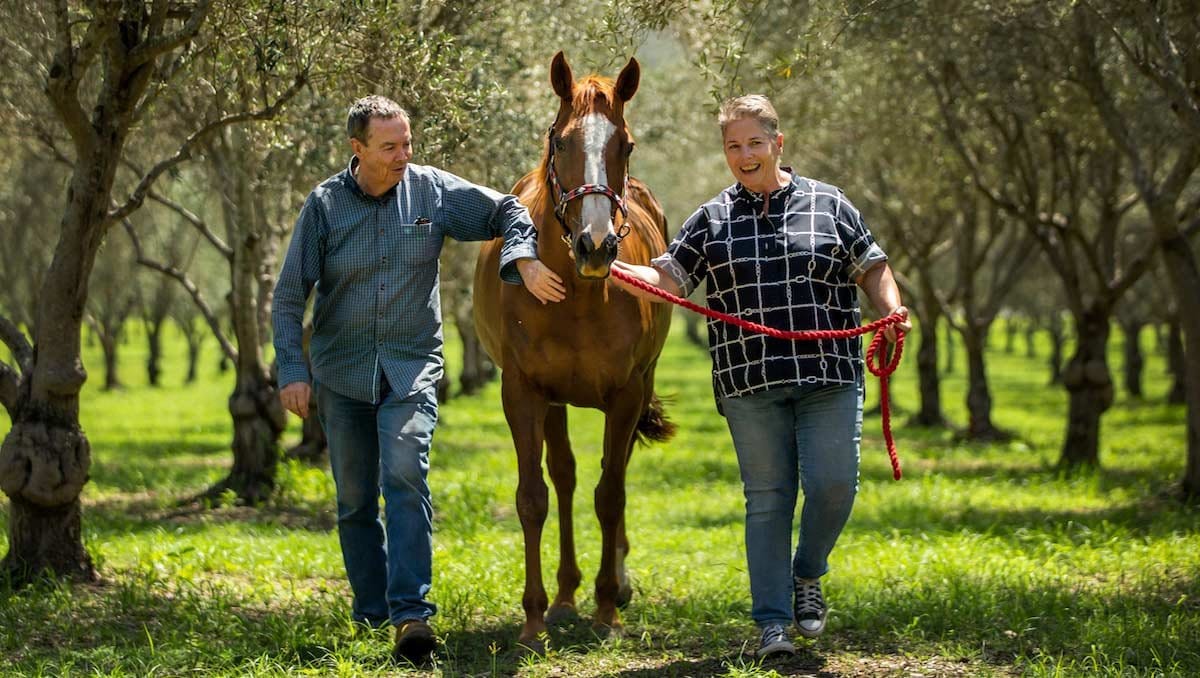 Two people walking with a brown horse along tree-lined paddock