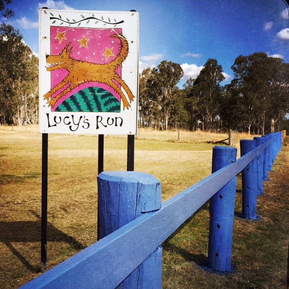 Entrance sign with illustrated monster design at Lucy's Run, Lovedale, Hunter Valley