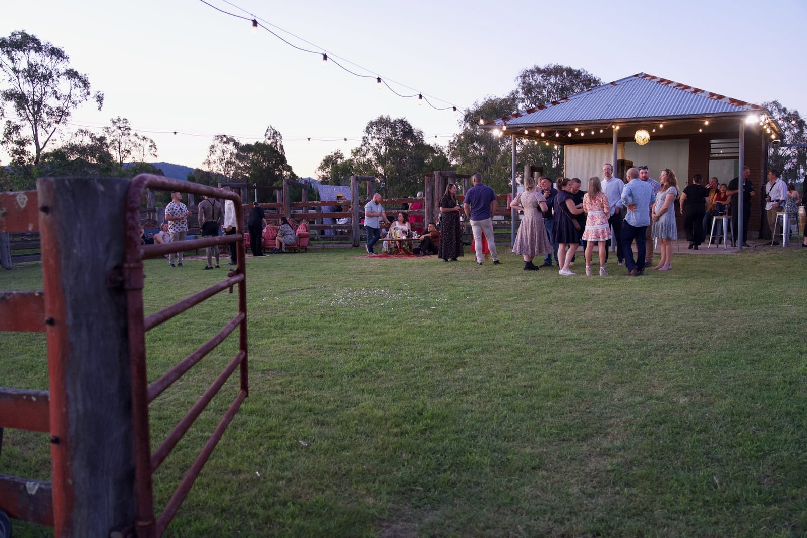 Evening party on lawn at Marlu Station, Broke, Hunter Valley