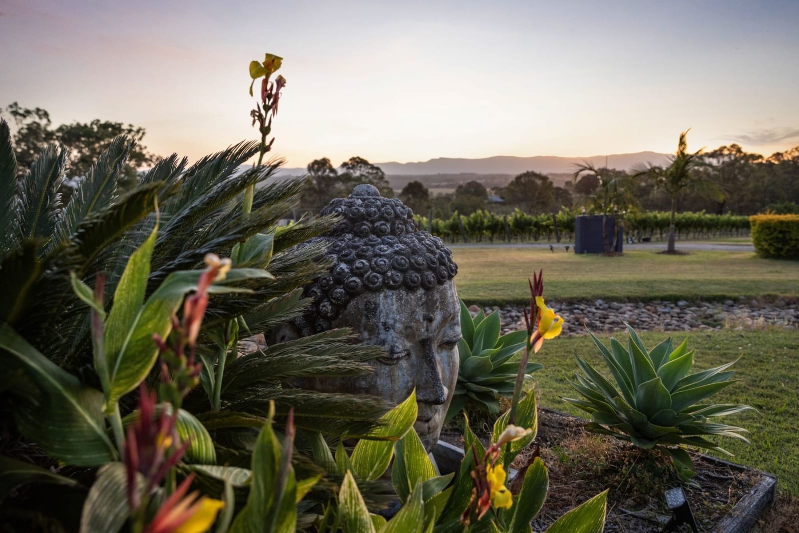 Buddha statue among flowering plants with vineyard backdrop