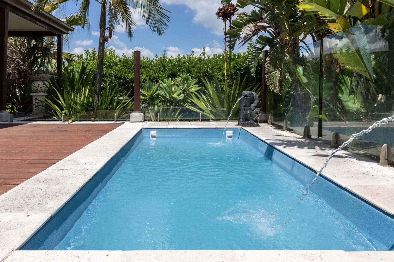 Swimming pool with tropical surroundings and vineyard rows beyond
