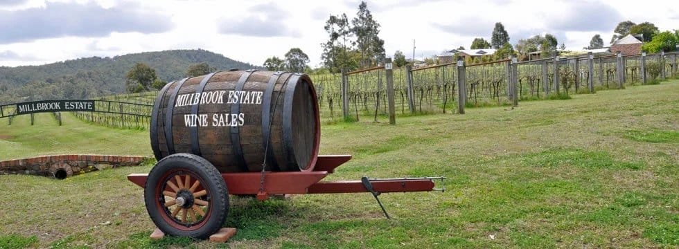 Wine barrel wagon with vineyard rows at Millbrook Estate, Millfield, Hunter Valley