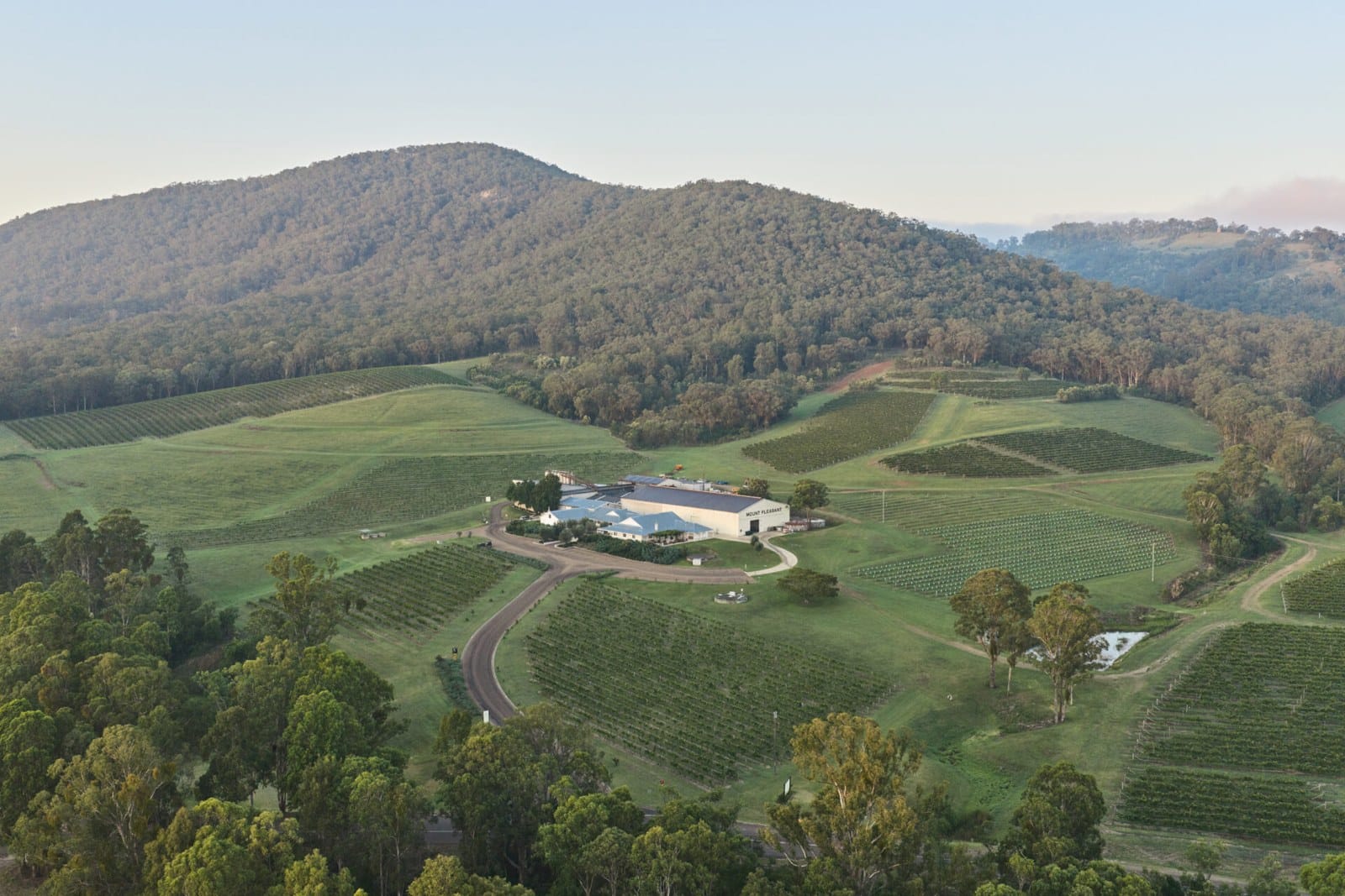 Aerial view of estate among the hills at Mount Pleasant, Pokolbin, Hunter Valley