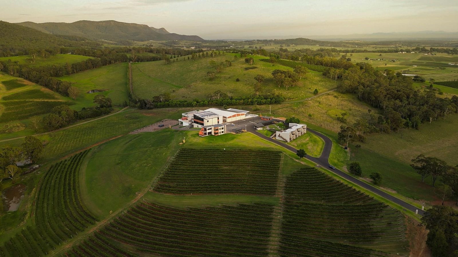 Winery and vineyard from the air at Mount View Estate, Mount View, Hunter Valley