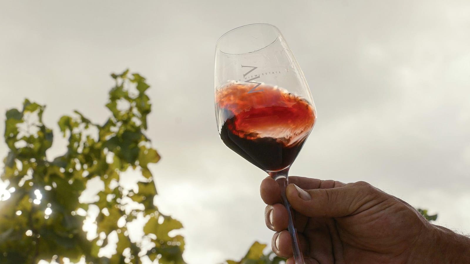 A glass of red wine held up against the vines