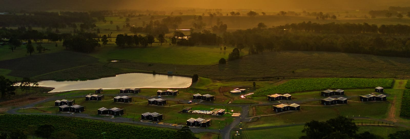 Aerial view of vineyard estate at Night Merchant Distillery, Pokolbin, Hunter Valley