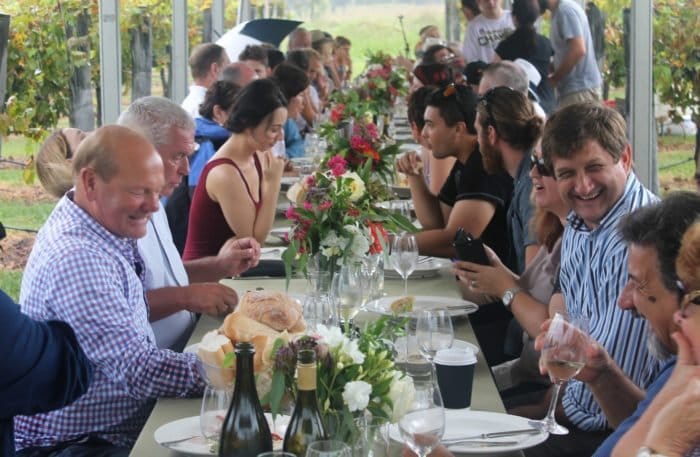 Guests seated along a single long table in the vines at an Oakvale lunch