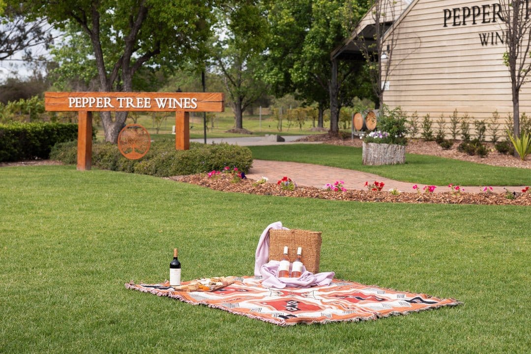 Picnic grazing box on the lawn at Pepper Tree Wines
