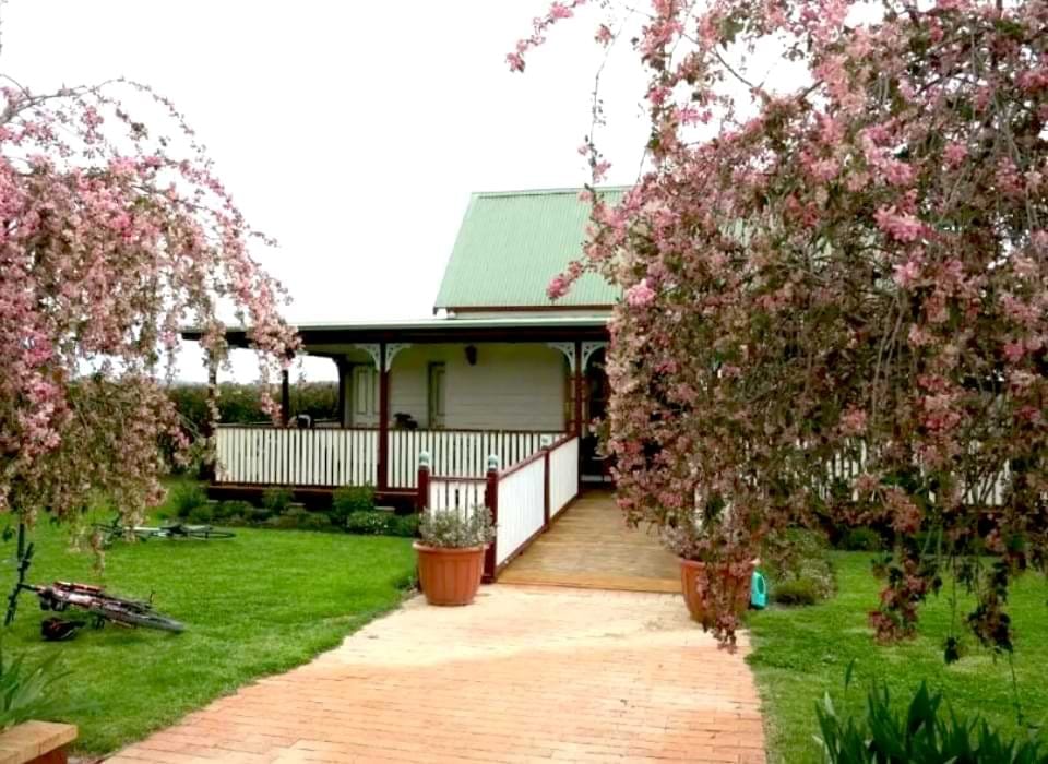 The weatherboard cellar door behind flowering crabapple trees, with a ramp to the verandah
