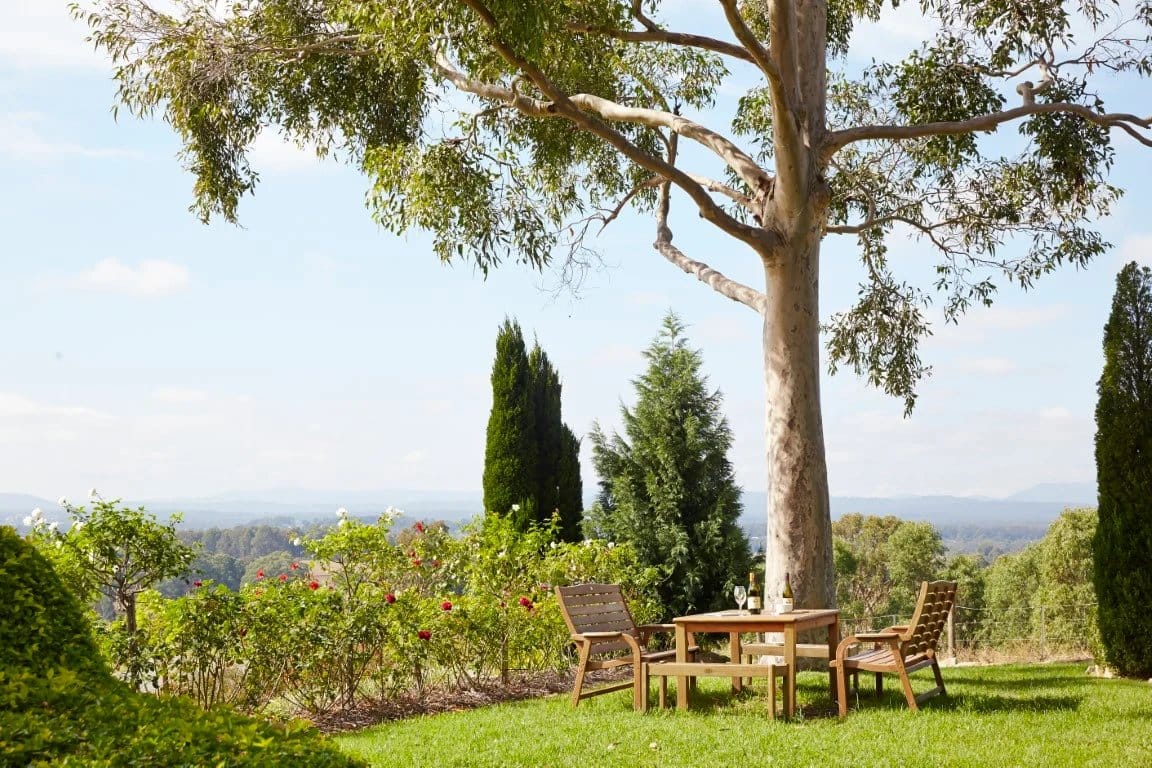 Table and chairs under gum tree on hilltop lawn at Petersons, Mount View, Hunter Valley
